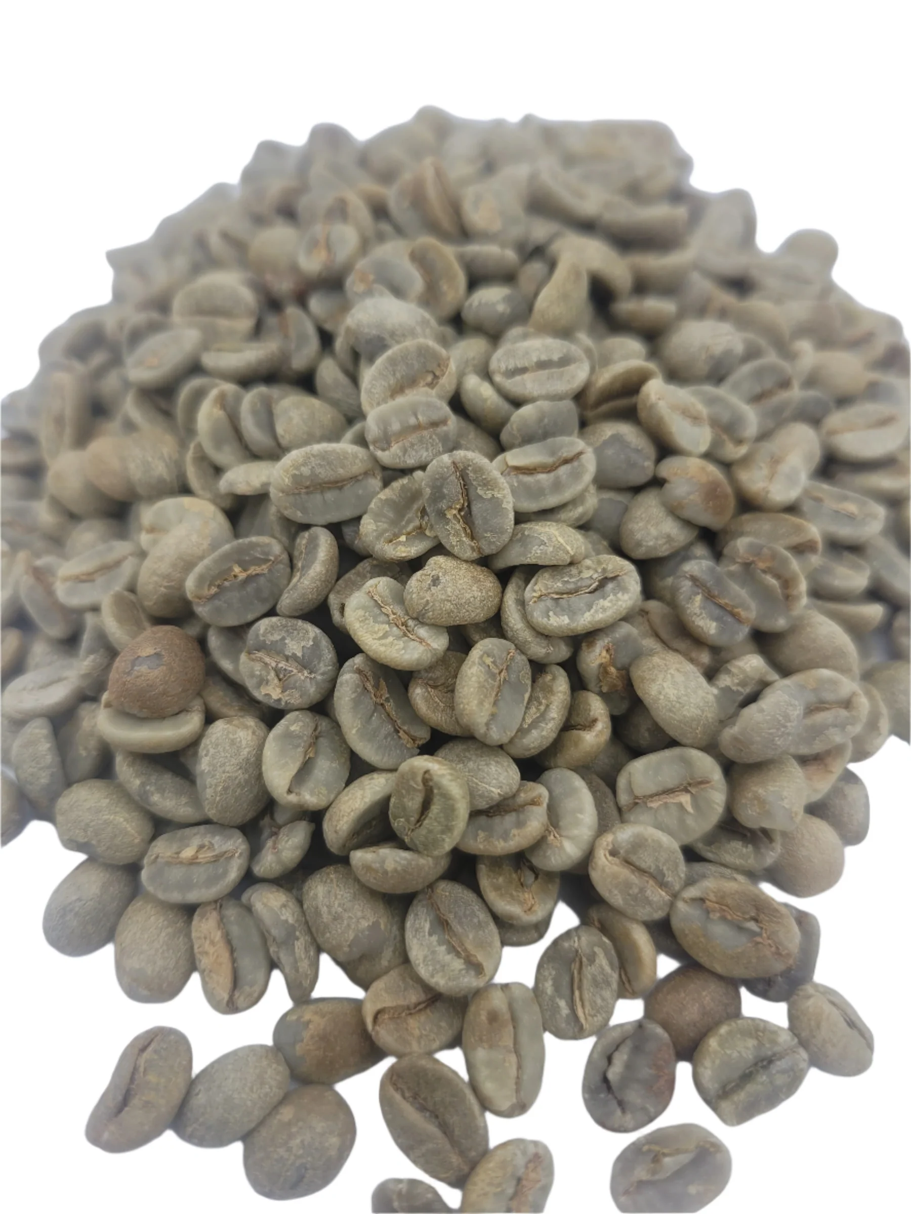 Brazil Women In Coffee